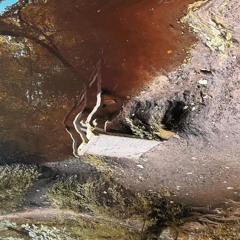 I Felt The Wind Shift South (dearest alyx remix)