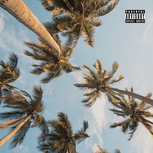 Apex -T.D.S(ThoughtsDuringSummer)