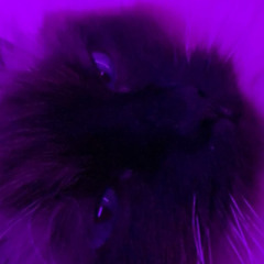 fuck (prod. by ALLXBEATS)