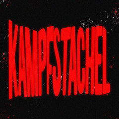 KAMPFSTACHEL