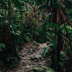 jayvee - welcome to the jungle (prod. mayor) [kult exclusive]