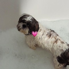 i don't belong to you - demo