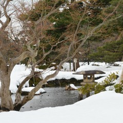 冬、庭とふうりん。【Loop】