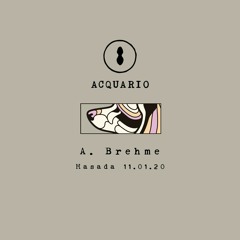 A. Brehme @ Acquario - 11/01/2020