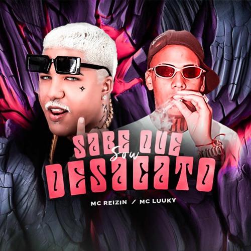 ELA SABE QUE EU SOU DESACATO - MC REIZIN E MC LUUKY - REMIX BREGAFUNK