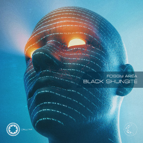 Foggy Area - Black Shungite (Windom R Remix)
