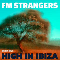 High In Ibiza (Radio Edit) [feat. Brad Grobler]