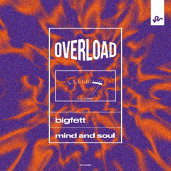 Bigfett - Mind And Soul (Extended Mix)