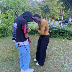 traumschiff. 0-intend + fayemoon. prod negative