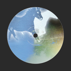 DJ Pet Centre - Dusk (Extended Mix) [FREE DL]