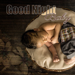 Good Night Baby