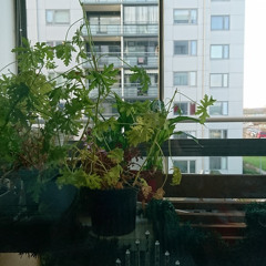 Do we work in heaven ? The answer is here