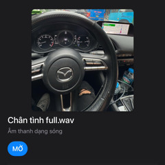 Chân Tình Lệ Quyên - Remix