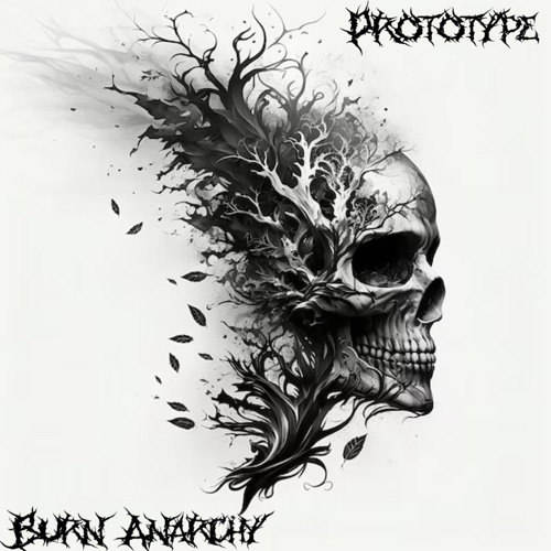 Burn Anarchy