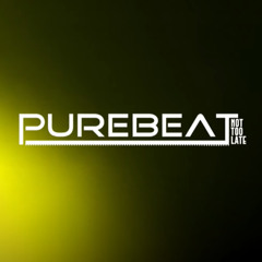 Purebeat - Not too Late