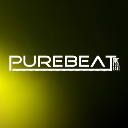 Purebeat - Not too Late