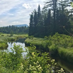 Red River Morning