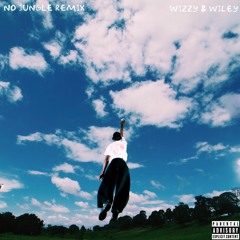 Floyd Zion - No Jungle (Wizzy & Wiley Remix)