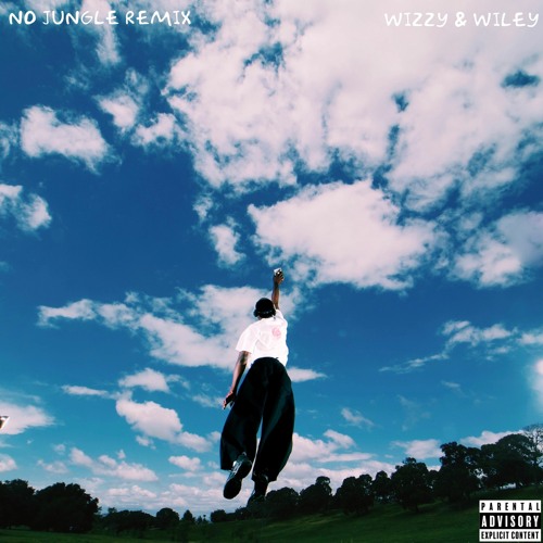 Floyd Zion - No Jungle (Wizzy & Wiley Remix)