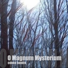 O Magnum Mysterium