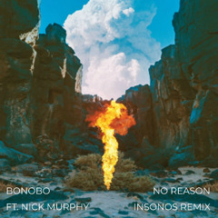 No Reason (insonos Remix)
