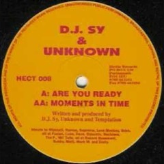 SY & UNKNOWN  -  MOMENTS IN TIME