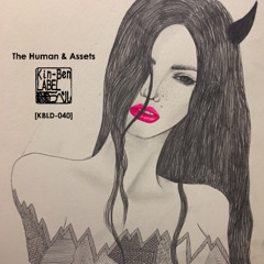 Set 5 / The Human & Assets