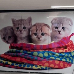 ilyydavid - super boof