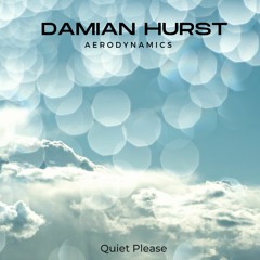 Damian Hurst - Aerodynamics (Meditation)