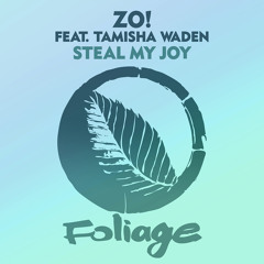 Steal My Joy (Opolopo Remix) [feat. Tamisha Waden]