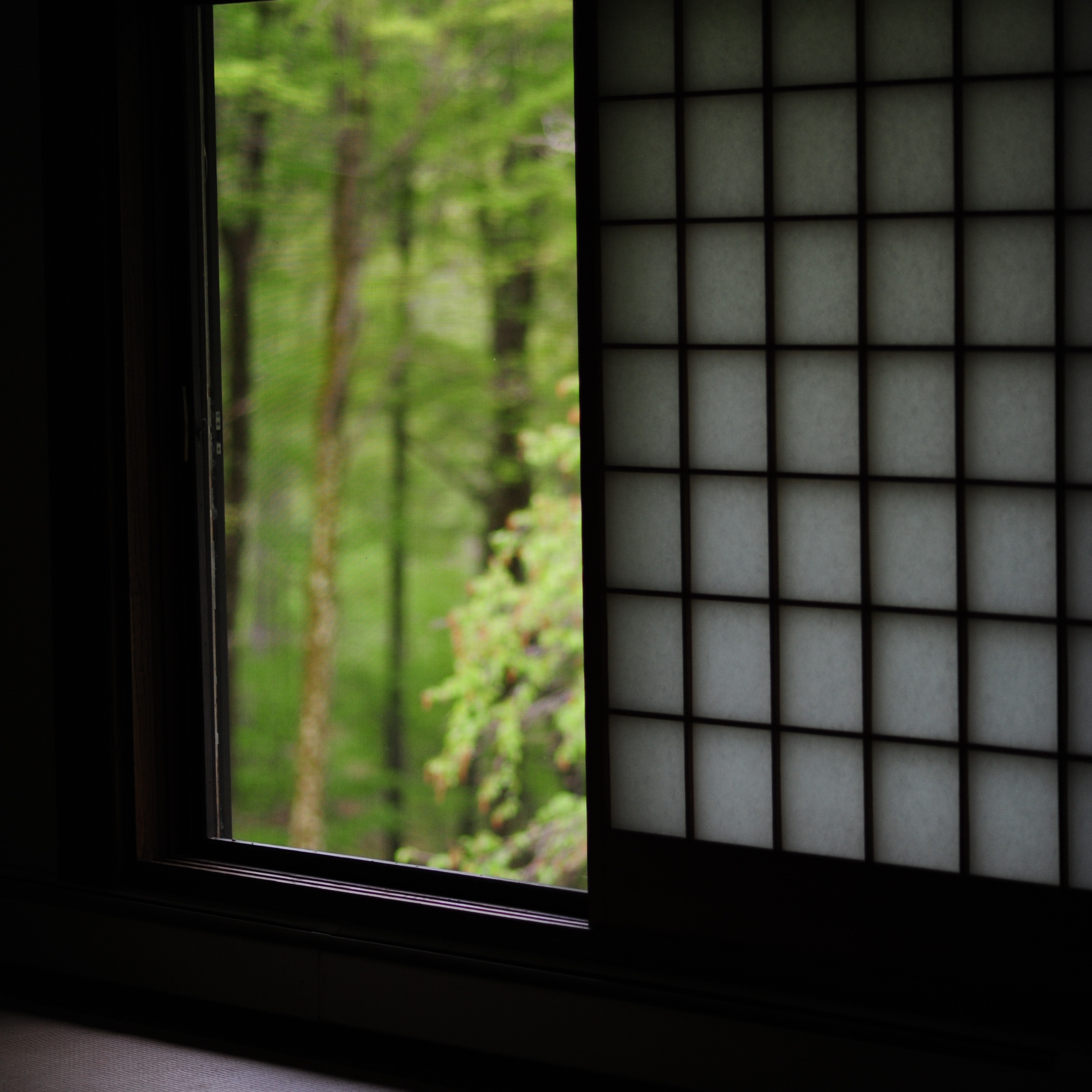 Entangling Vines Case 56: Gushan's Gatha – Teisho by Chigan Roshi, 2023.7.5