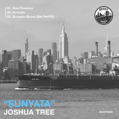 PREMIERE: Joshua Tree - Soul Essence [Beast River Records]