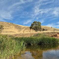 broughton river - Part I