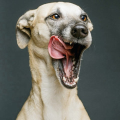 Connor-mctodd-wildinft-Joe-gee-prod-by-saymynamee