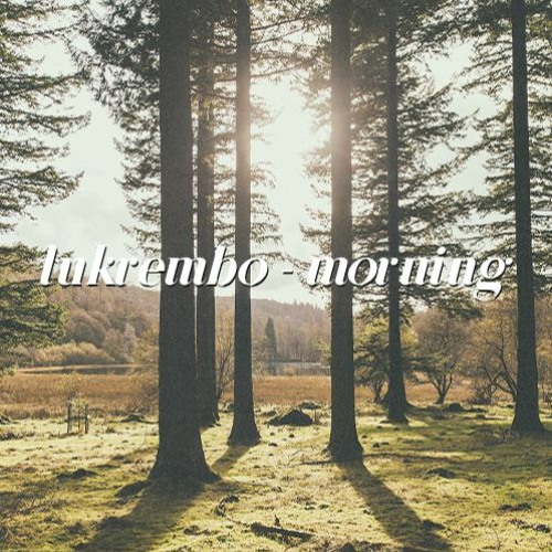 Morning