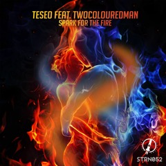 Teseo feat. twocolouredman - Spark for the Fire