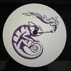 PREMIERE: UNKNOWN ARTIST - CANT STOP THE FEELING [FLIPSW002]