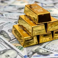 Protokol -  Cash flow