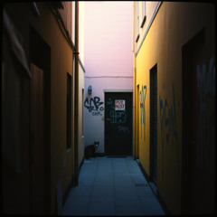 Whispers of the Alleyway