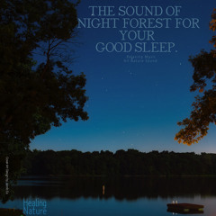 Night Forest Sound for Your Good Sleep, Pt. 1