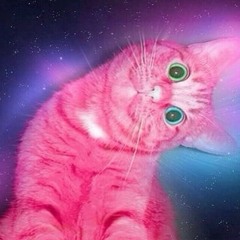 /\ /\