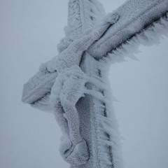 Cough (w/ DAYDONTCRY, 고타마얼칸)