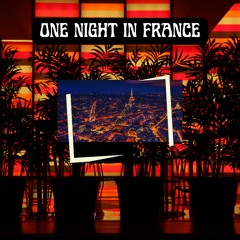 ONE NIGHT IN FRANCE