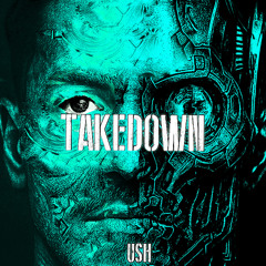 TAKEDOWN (FREE DL)