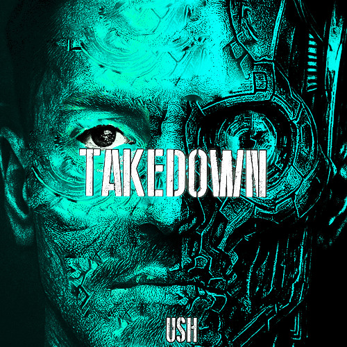 TAKEDOWN (FREE DL)
