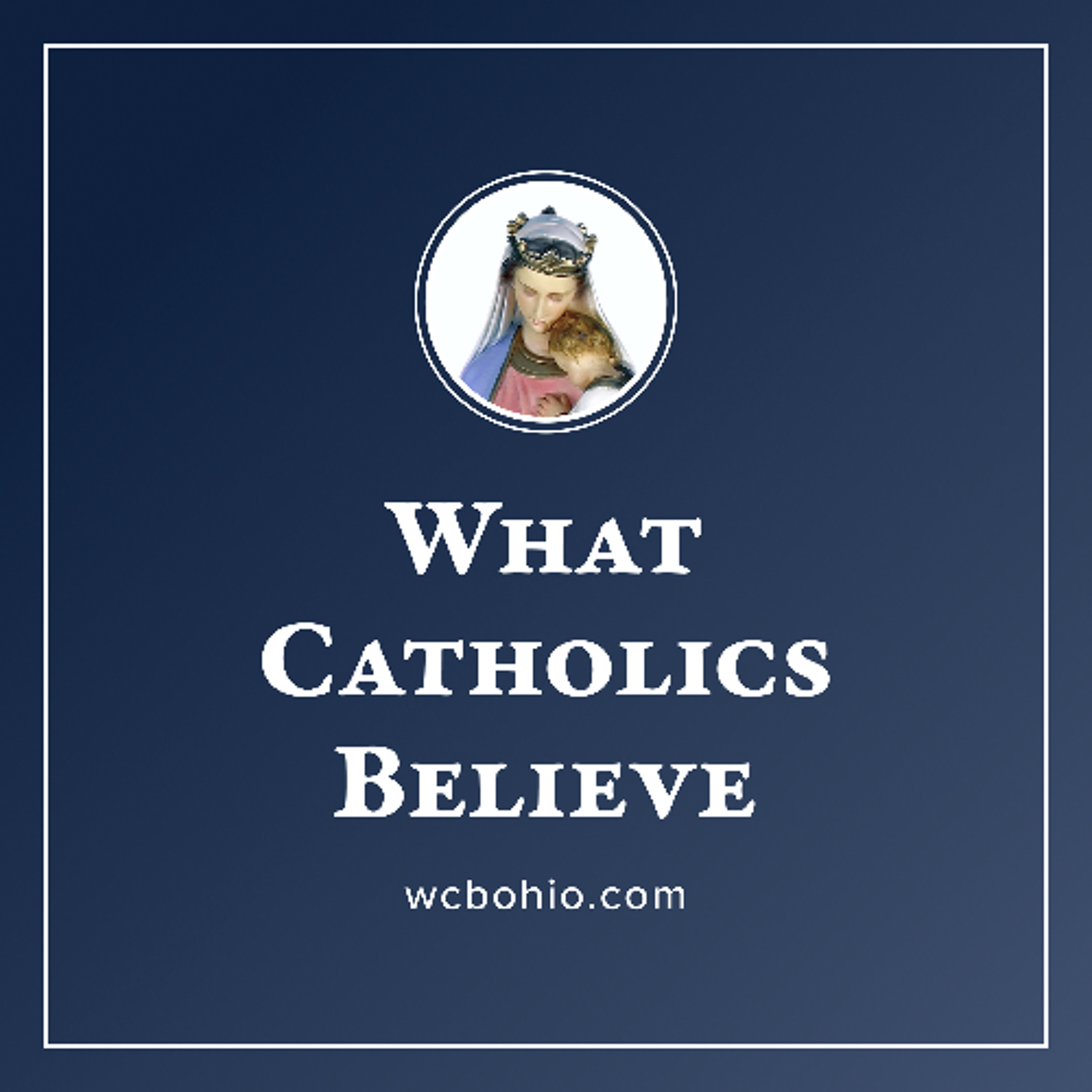 Leo to SSPX. Democratic Socialism. Criminal Government. Rape Gangs. St. John the Baptist! episode artwork