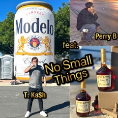 No Small Things By T. Ka$h feat. Perry B