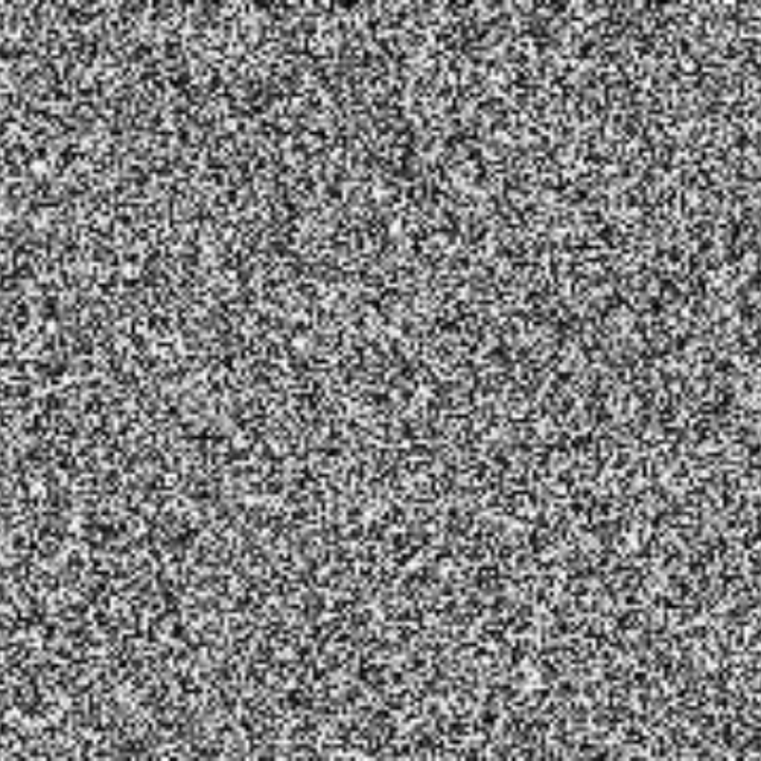 White Noise 05.08.26 episode artwork