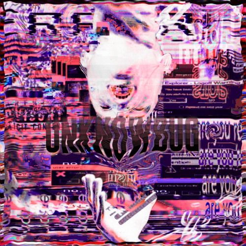UNKNOW BUG ft. :DSLowvv(SC MiX)