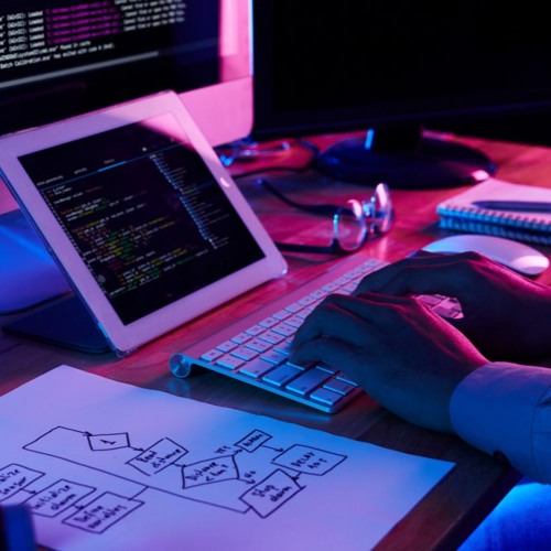 Professional dynamic website development service for your business need